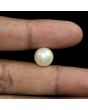 South Sea Pearl (Moti) 10.88 Carat 