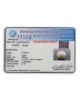 South Sea Pearl (Moti) 10.88 Carat 
