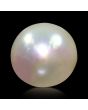 South Sea Pearl (Moti) 9.09 Carat 