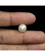 South Sea Pearl (Moti) 9.09 Carat 