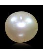 South Sea Pearl (Moti) 8.45 Carat 