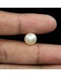 South Sea Pearl (Moti) 8.45 Carat 