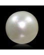 South Sea Pearl (Moti) 7.14 Carat 
