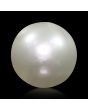 South Sea Pearl (Moti) 7.14 Carat 