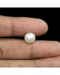 South Sea Pearl (Moti) 7.14 Carat 