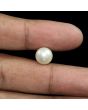South Sea Pearl (Moti) 7.14 Carat 