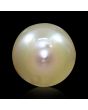 South Sea Pearl (Moti) 6.18 Carat 