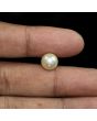 South Sea Pearl (Moti) 6.18 Carat 