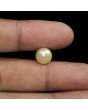 South Sea Pearl (Moti) 6.18 Carat 