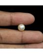 South Sea Pearl (Moti) 6.18 Carat 