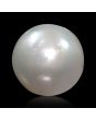 South Sea Pearl (Moti) 9.35 Carat 