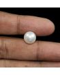 South Sea Pearl (Moti) 9.35 Carat 