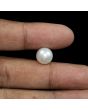 South Sea Pearl (Moti) 9.35 Carat 