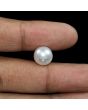 South Sea Pearl (Moti) 9.25 Carat 