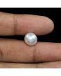 South Sea Pearl (Moti) 9.25 Carat 