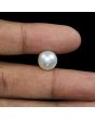 South Sea Pearl (Moti) 9.25 Carat 