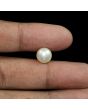 South Sea Pearl (Moti) 6.14 Carat 