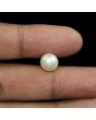 South Sea Pearl (Moti) 6.14 Carat 