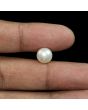 South Sea Pearl (Moti) 6.14 Carat 