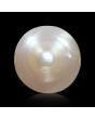 South Sea Pearl (Moti) 6.15 Carat 