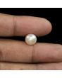 South Sea Pearl (Moti) 6.15 Carat 