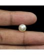 South Sea Pearl (Moti) 6.15 Carat 