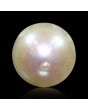 South Sea Pearl (Moti) 6.11 Carat 