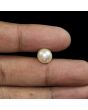 South Sea Pearl (Moti) 6.11 Carat 