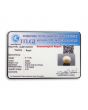 South Sea Pearl (Moti) 6.11 Carat 