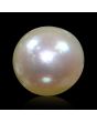 South Sea Pearl (Moti) 7.26 Carat