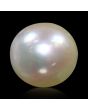 South Sea Pearl (Moti) 7.26 Carat