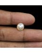 South Sea Pearl (Moti) 7.26 Carat