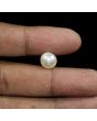 South Sea Pearl (Moti) 7.26 Carat