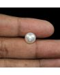 South Sea Pearl (Moti) 7.06 Carat 