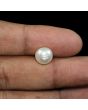 South Sea Pearl (Moti) 7.06 Carat 