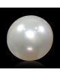 South Sea Pearl (Moti) 6.21 Carat 