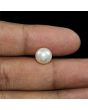 South Sea Pearl (Moti) 6.21 Carat 