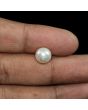 South Sea Pearl (Moti) 6.21 Carat 