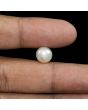 South Sea Pearl (Moti) 6.21 Carat 