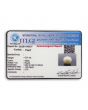 South Sea Pearl (Moti) 6.21 Carat 