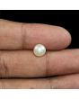 South Sea Pearl (Moti) 4.1 Carat 