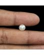 South Sea Pearl (Moti) 4.1 Carat 