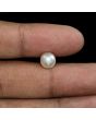 South Sea Pearl (Moti) 4.15 Carat 