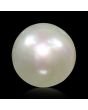 South Sea Pearl (Moti) 5.66 Carat 