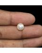 South Sea Pearl (Moti) 5.66 Carat 