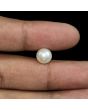 South Sea Pearl (Moti) 5.66 Carat 