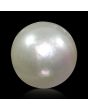 South Sea Pearl (Moti) 4.86 Carat 