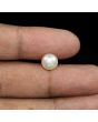 South Sea Pearl (Moti) 4.86 Carat 