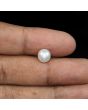 South Sea Pearl (Moti) 4.39 Carat 
