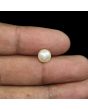 South Sea Pearl (Moti) 3.92 Carat 